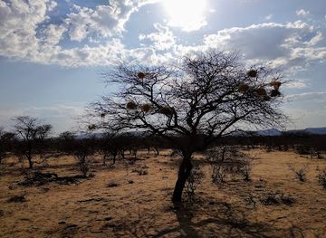 namibia/omaruru/landmark/erindi-private-game-reserve