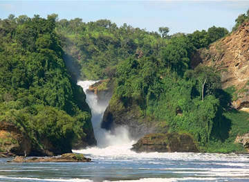 uganda/west-nile/landmark/mabamba-shoebills-watching