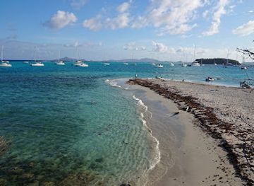 saint-vincent-and-the-grenadines/palm-island/landmark/turtle-watching-reserve