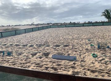 cabo-verde/santa-maria/landmark/projeto-biodiversidade