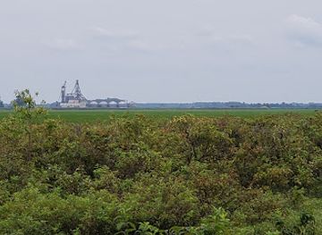 arkansas/delta/landmark/bald-knob-refuge