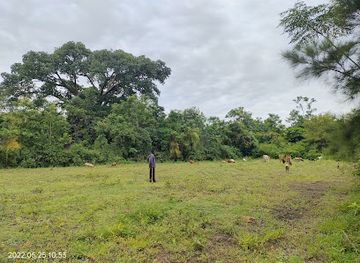 kenya/nyanza-region/landmark/got-ajwaya-k-masigah