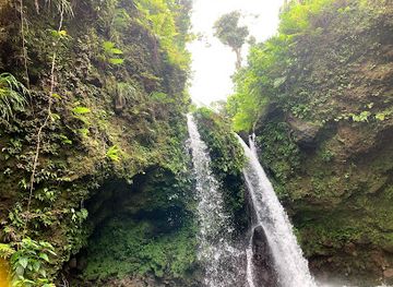 dominica/emerald-pool/landmark/jacko-falls