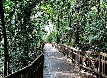 singapore/bukit-timah-nature-reserve/landmark/bukit-timah-hill