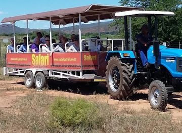 south-africa/route-62/landmark/safari-ostrich-farm