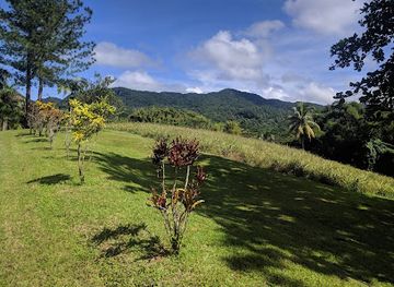 jamaica/cockpit-country/landmark/croydon-in-the-mountains