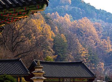 south-korea/naejangsan-national-park/landmark/juwangsan-national-park