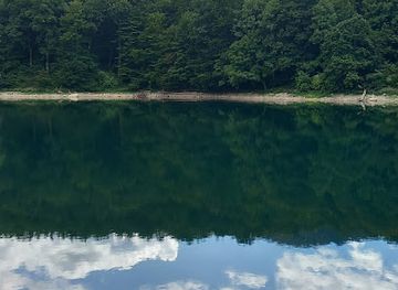 montenegro/biogradska-gora-national-park/landmark/biograd-forest