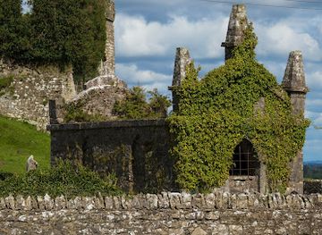 ireland/county-kildare/landmark/carbury-castle-and-motte