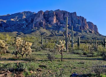 Tonto National Forest