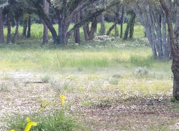 florida/apalachicola/landmark/pierce-site