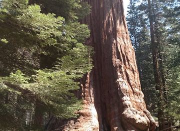 california/sequoia-national-park/landmark/kings-canyon-visitor-center
