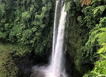 samoa/to-sua-ocean-trench/landmark/fuipisia-waterfall