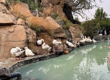 saudi-arabia/al-hada/landmark/strawberries-farm