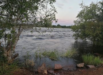 zambia/victoria-falls-area/landmark/the-big-tree-victoria-falls