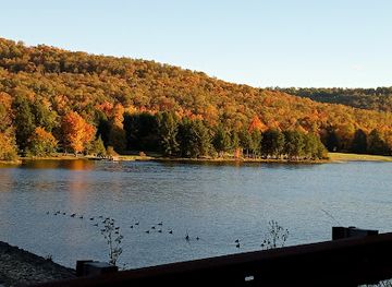 pennsylvania/allegheny-national-forest/landmark/chapman-state-park