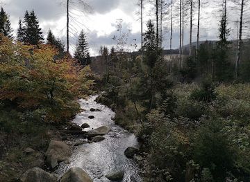germany/harz/landmark/marchenpfad-das-weisse-reh