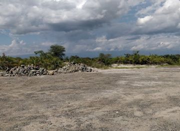 tanzania/central-zone/landmark/kikuletwa-springs-maji-moto