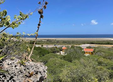 curacao/scharloo/landmark/hato-caves