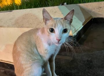 morocco/tangier-region/landmark/ramadan-abholen