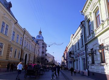 ukraine/chernivtsi/old-town/landmark/bukovynian-diaspora-museum