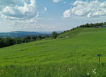 switzerland/swiss-plateau/landmark/in-memoriam-otto-honegger