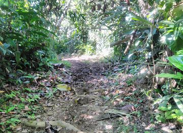 nicaragua/san-juan-river-basin/landmark/indio-maiz-biological-reserve