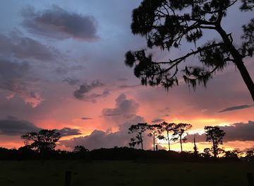 florida/sun-coast/landmark/crowley-museum-nature-center
