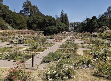california/oakland/landmark/morcom-rose-garden