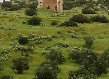 israel/shephelah/landmark/beit-guvrin-maresha-national-park