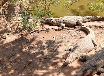 zambia/livingstone/landmark/livingstone-zambia