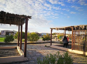 oman/jebel-shams/landmark/jebel-shams-campsite