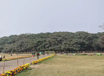 The Great Banyan Tree