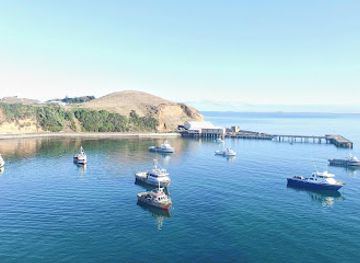 new-zealand/chatham-islands/landmark/waitangi-wharf