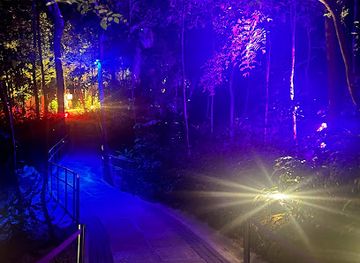 malaysia/langkawi-archipelago/landmark/dream-forest-langkawi