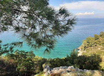 turkiye/kusadasi/guzelcamli/landmark/dilek-yarimadasi-ve-buyuk-menderes-deltasi-milli-parki-gisesi