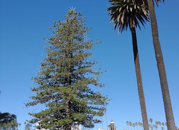 california/oxnard/landmark/downtown-oxnard-farmers-market