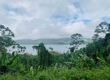 costa-rica/tilaran-range/landmark/ceiba-tree