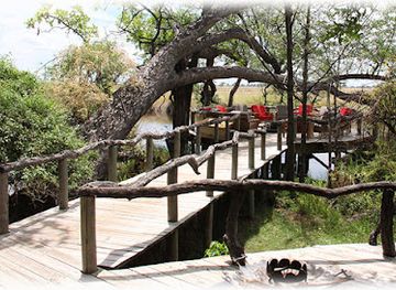 botswana/maun/landmark/desert-delta-safaris