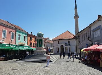 bosnia-and-herzegovina/tuzla/landmark/turisticki-voz