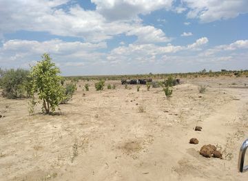 namibia/kavango-east/landmark/khaudum-national-park