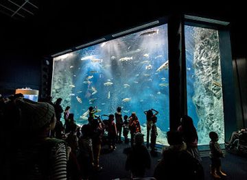 japan/hokkaido/landmark/chitose-salmon-aquarium