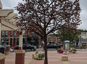 minnesota/stillwater/landmark/black-letter-books