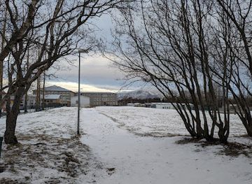 iceland/reykjavik/laugardalur/landmark/menntavegurinn