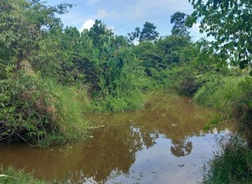 guyana/kanuku-mountains/landmark/guyana-zoo