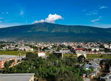 cameroon/buea/landmark/mount-cameroon-national-park