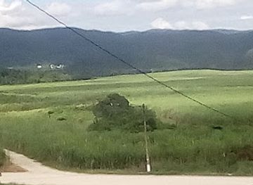 jamaica/santa-cruz-mountains/landmark/appleton-estate-rum-tour