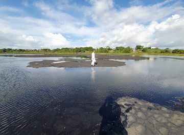trinidad-and-tobago/st-paul/landmark/pitch-lake