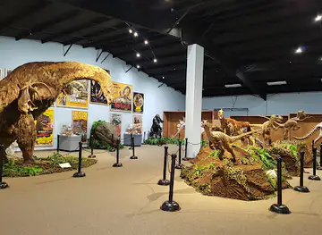 The Dinosaur Museum