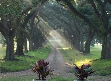 louisiana/plantation-country/landmark/sunny-slope-plantation